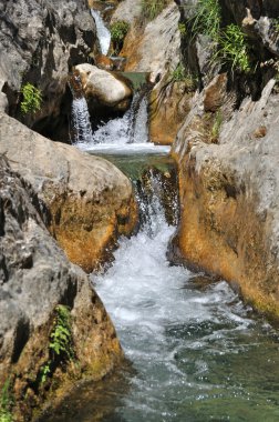 Doğa