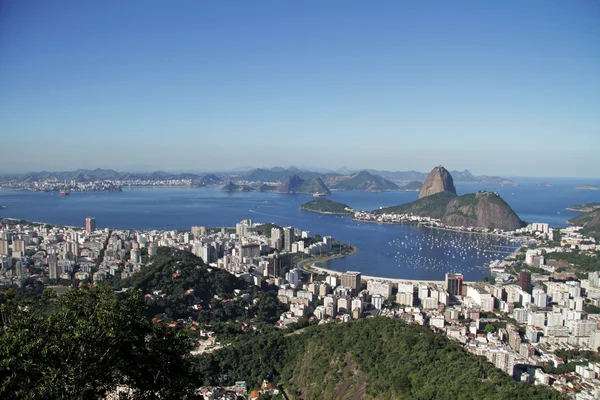 Sukkerroer i Rio de Janeiro - Stock-foto