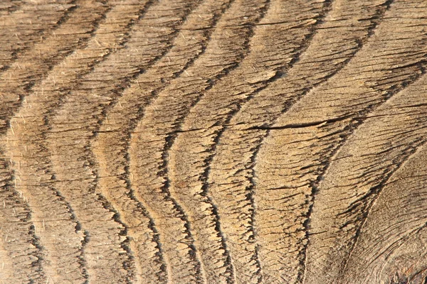 eski ahşap temizleyin