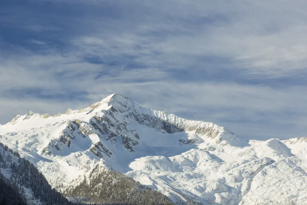 mladá dívka v kostkované košili na bílém pozadí