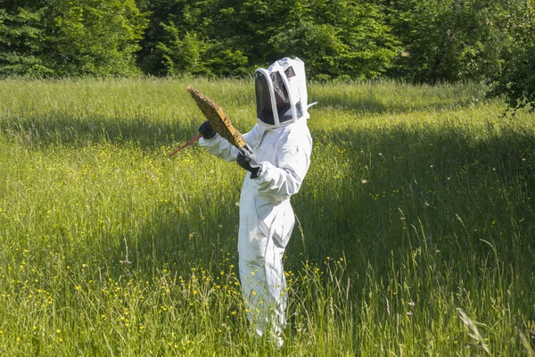 Beekeeper at work — Stockfoto