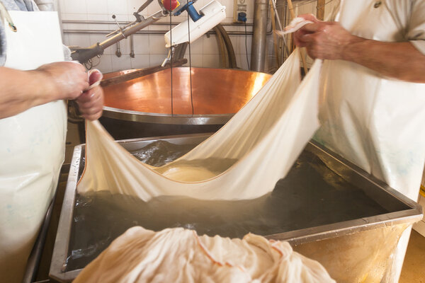 Production of cheese