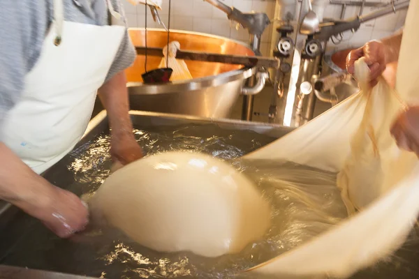Peynir üretimi — Stok fotoğraf