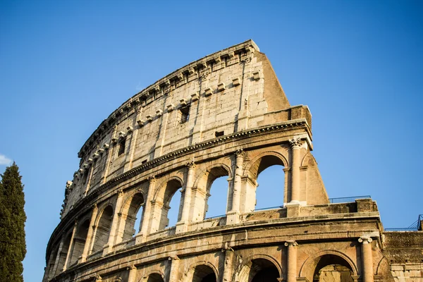 The Colosseum — Stock Photo, Image