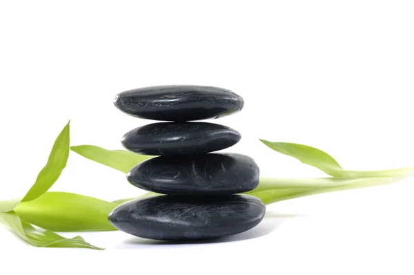 Stones with bamboo — Stock Photo, Image