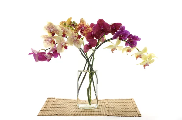 Color orchids in bowl — Stock Photo, Image