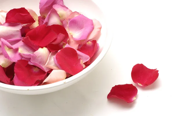 Rose petals in bowl — Stock Photo, Image