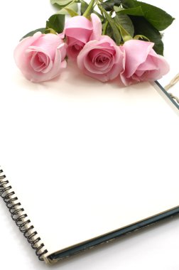 Rose ve defter