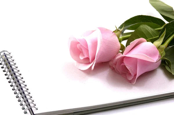 Rose en laptop — Stockfoto