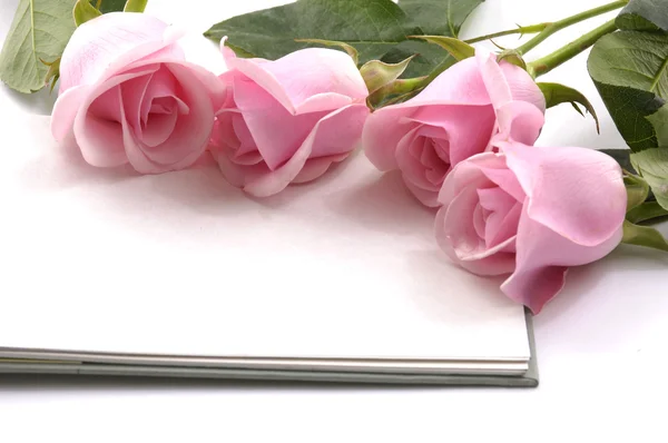 Růže a notebook — Stock fotografie