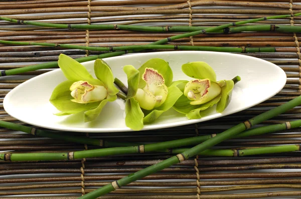 Orchidea con bambù — Foto Stock