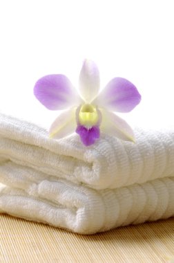 Spa nesneleri arka plan