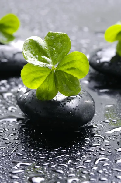 Spa still life — Stock Photo, Image