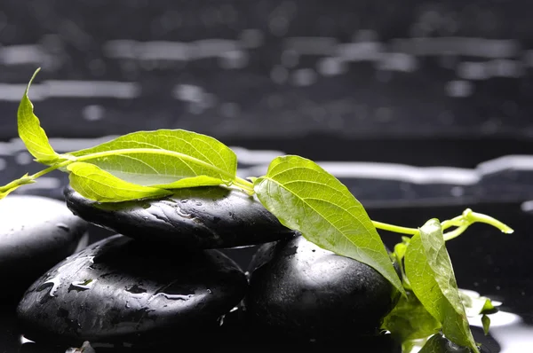 Zen stenar och färska blad — Stockfoto