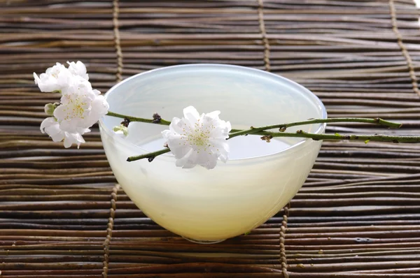 Bowl of cherry blossoms — Stock Photo, Image