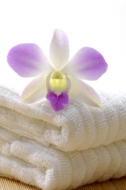Spa simgesi