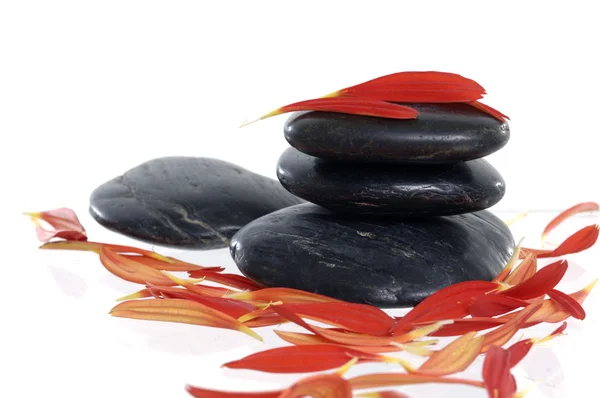 Red petals and stone — Stock Photo, Image