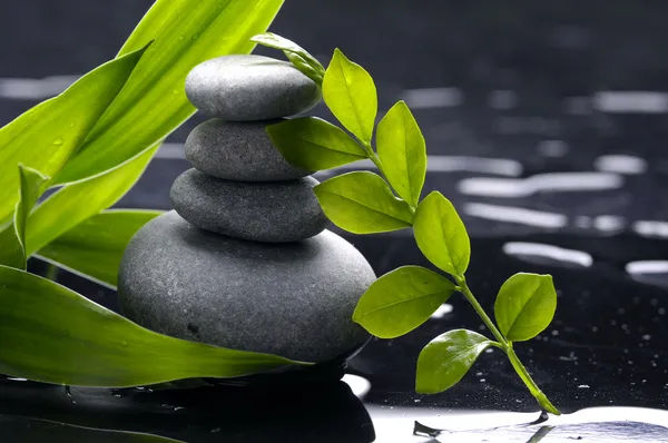 Zen taşlar ve yaprak