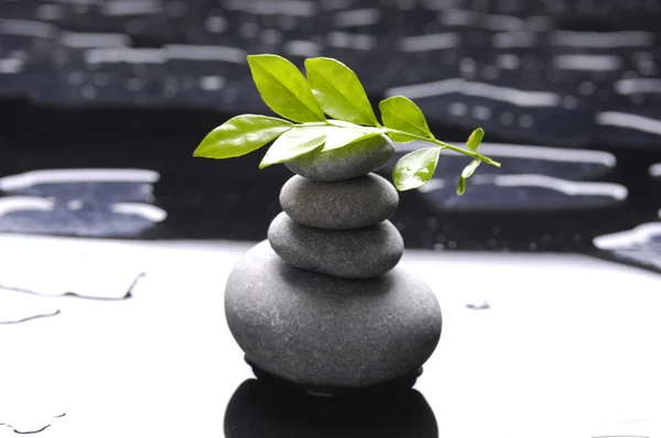 Piedras y hojas de zen —  Fotos de Stock