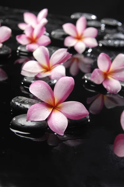 素馨花和黑色鹅卵石 — 图库照片