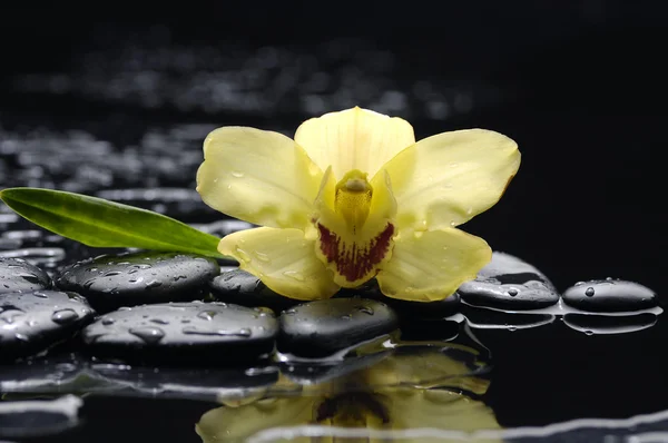 Spa naturaleza muerta — Foto de Stock