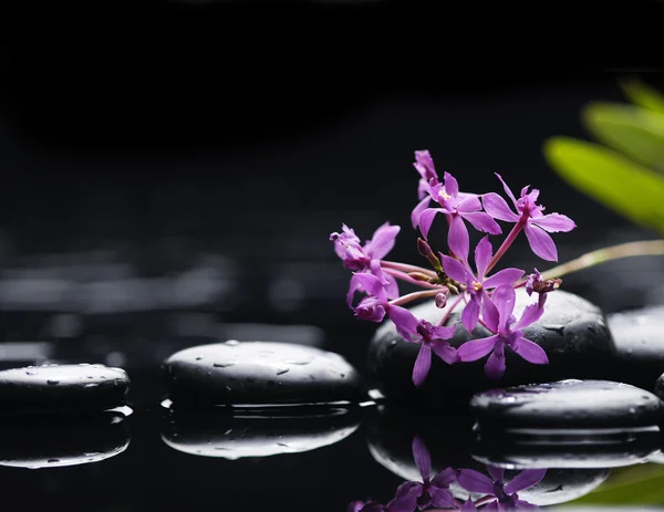 Spa still life — Stock Photo, Image