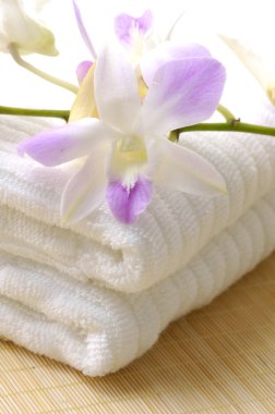 Spa oturma