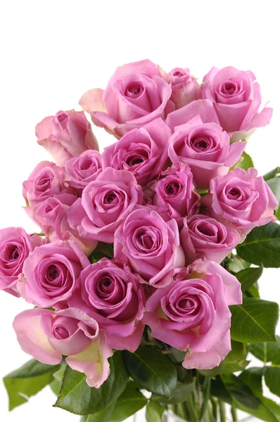 Roze rozen — Stockfoto