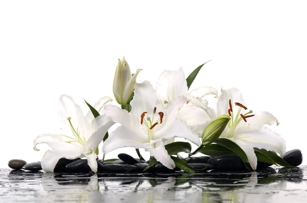 lilyum spa taşlı