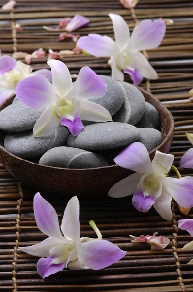 美しい蘭の花と石 — ストック写真