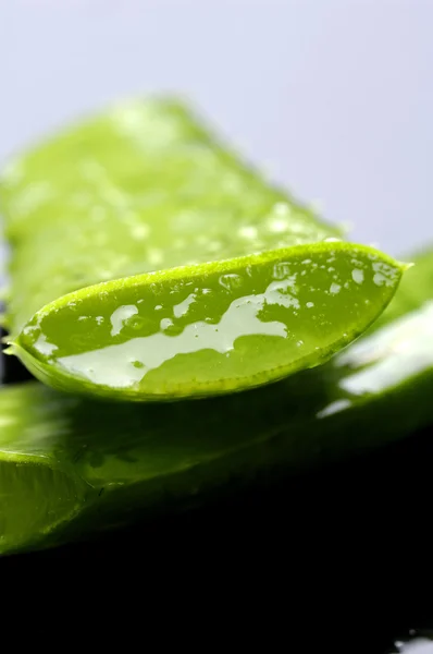알로에의 슬라이스 녹색 잎 — 스톡 사진