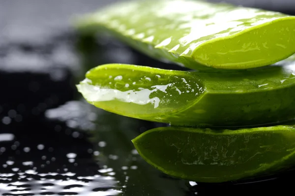Lembaran hijau tipis dari aloe — Stok Foto