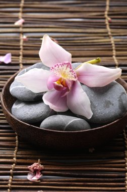 Spa oturma