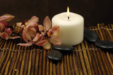 Spa ve sağlık