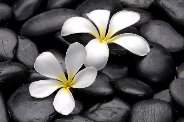 spa taşları ve çiçek