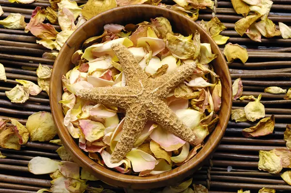 Bowl of rose petal — Stock Photo, Image