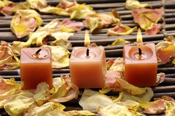 Candle and rose petals — Stock Photo, Image