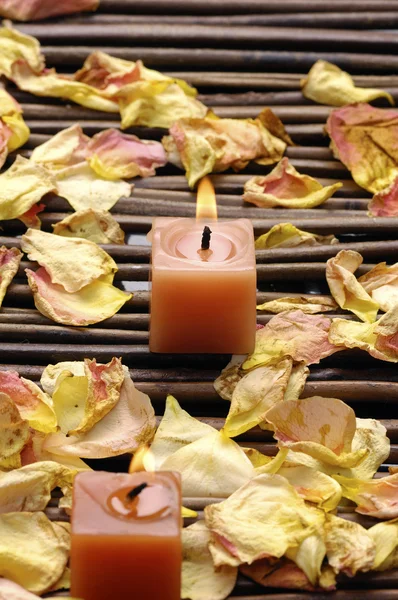 Candle and rose petals — Stock Photo, Image