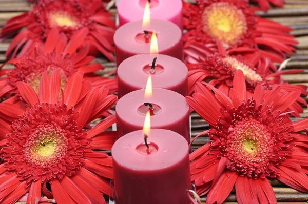 Kaars met zonnebloem Rechtenvrije Stockafbeeldingen