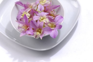 Spa ve sağlık