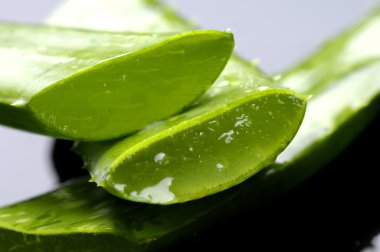 taze aloe vera