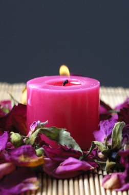 Mumlar kırmızı gül yaprakları ile