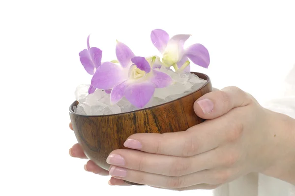 Holding bowel of orchid — Stock Photo, Image