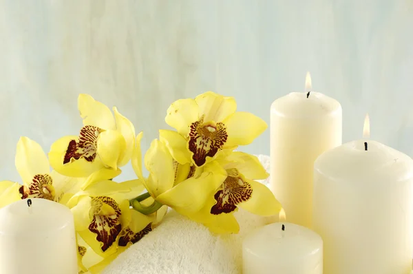 Orchid och spa — Stockfoto