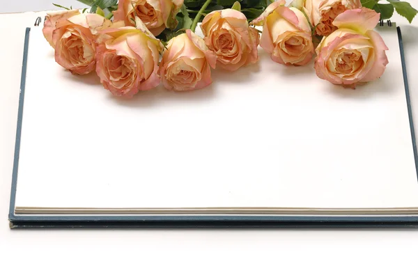 Rose met laptop — Stockfoto