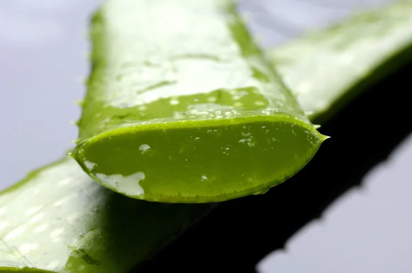 Fresh aloe vera — Stock Photo, Image