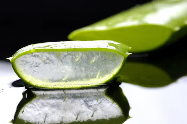 Aloe vera segar — Stok Foto