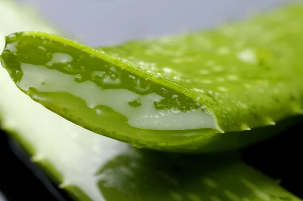 Slice Fresh aloe vera — Stock Photo, Image