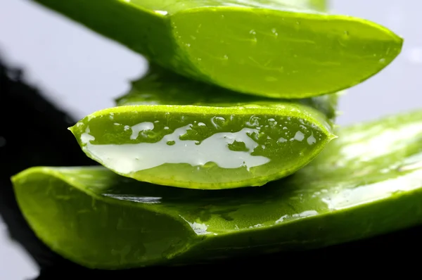 Skiva färsk AloeVera — Stockfoto