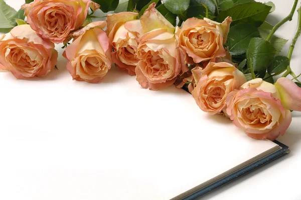 Rose met lege notebook — Stockfoto